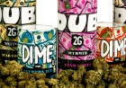 Why Dimes & Dubs Is Redefining the THCA Flower Experience