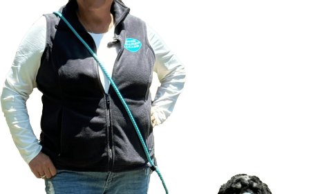 Confident Canines Start Here: Proven Puppy Training Programs