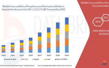 Middle East and Africa Phosphorus and Derivatives Market Growth and Future Trends