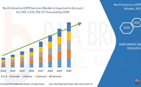 North America GDPR Services Market Insights and Growth Trends
