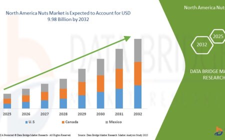 North America Nuts Market Overview: Key Drivers and Challenges