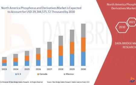 North America Phosphorus and Derivatives Market Trends, Insights and Future Outlook