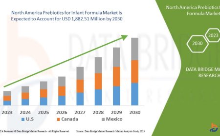 North America Prebiotics for Infant Formula Market Overview: Trends, Challenges, and Forecast to 2030