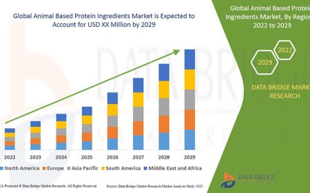 Animal Based Protein Ingredients Market Dynamics: Trends and Forecast to 2029