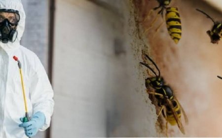 What Repels Bees Instantly: Natural Bee Control for Staten Island Homes
