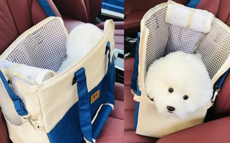 Ensuring Pet Safety and Comfort with a Quality Puppy Car Carrier