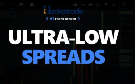 HankoX Review 2025: Where Next-Gen Traders Plug In