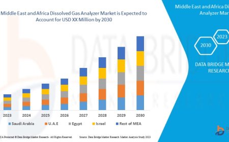 Middle East and Africa Dissolved Gas Analyzer Market Revenue Analysis: Growth, Share, Value, Size, and Insights