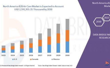 North America B2B Air Care Market Scope: Growth, Share, Value, Size, and Analysis