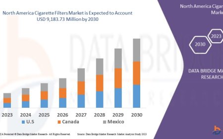 North America Cigarette Filters Market Opportunities: Growth, Share, Value, Size, and Scope