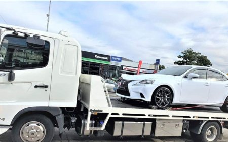 Metal, Oil, and Rubber: The Hidden Environmental Story of Car Disposal