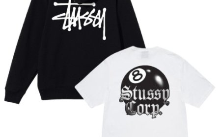 Unraveling the Allure of Stussy Hoodies Fashion Beyond Trends