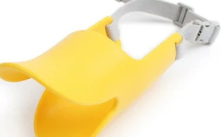 Top 10 Must-Have Toys for Every Cat Owner