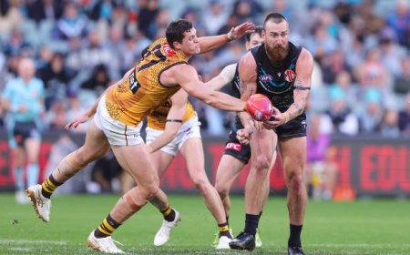 Why the Best PalmerBet Experience Starts with the Right Insights