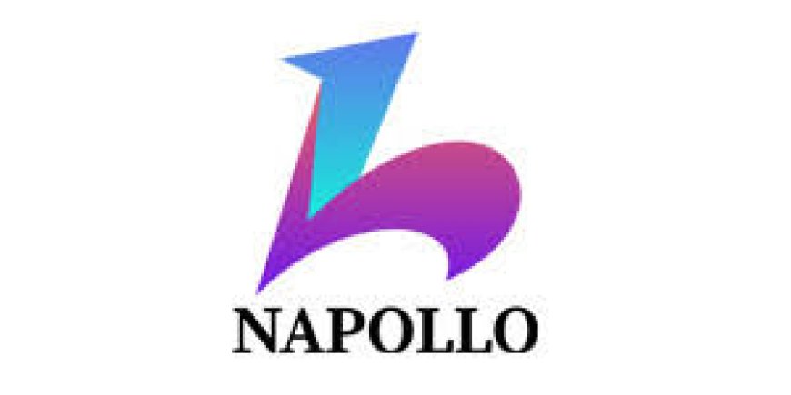 Expert Ecommerce SEO Services to Boost Sales, Traffic & Rankings | Napollo
