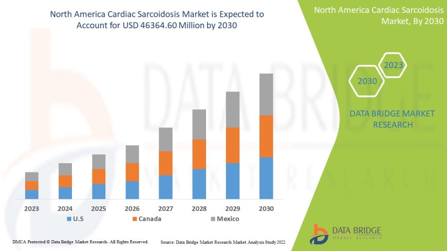 North America Cardiac Sarcoidosis Market Insights and Growth Trends