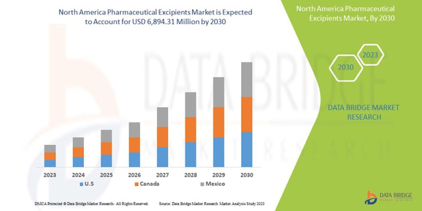 North America Pharmaceutical Excipients Market: Growth Opportunities and Forecast to 2030
