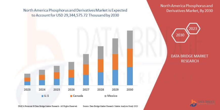 North America Phosphorus and Derivatives Market Trends, Insights and Future Outlook