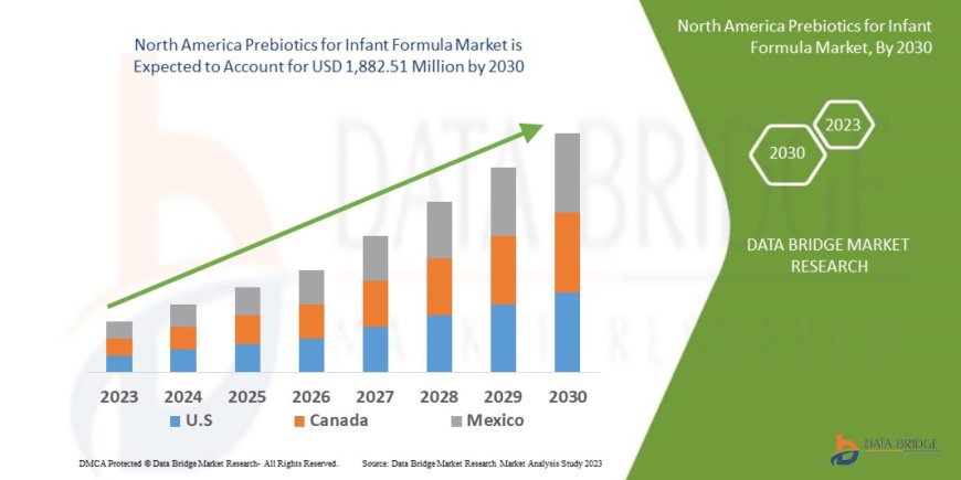 North America Prebiotics for Infant Formula Market Overview: Trends, Challenges, and Forecast to 2030