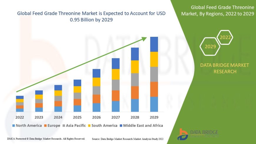 Feed Grade Threonine Market Overview: Key Drivers and Challenges