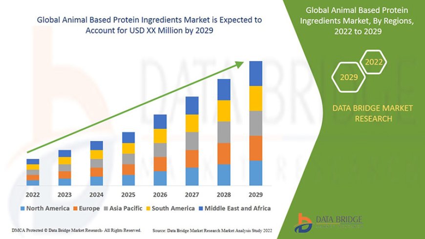 Animal Based Protein Ingredients Market Dynamics: Trends and Forecast to 2029