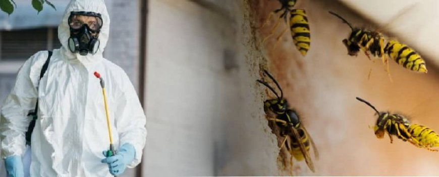 What Repels Bees Instantly: Natural Bee Control for Staten Island Homes