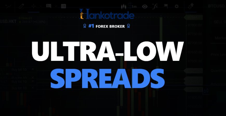 HankoX Review 2025: Where Next-Gen Traders Plug In