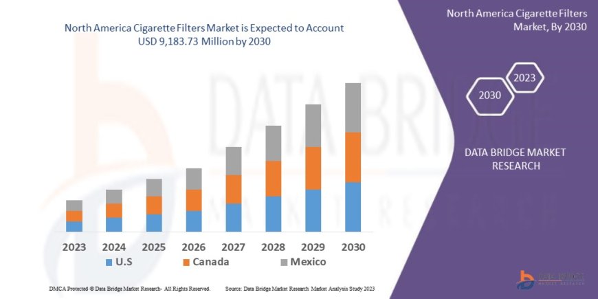 North America Cigarette Filters Market Opportunities: Growth, Share, Value, Size, and Scope