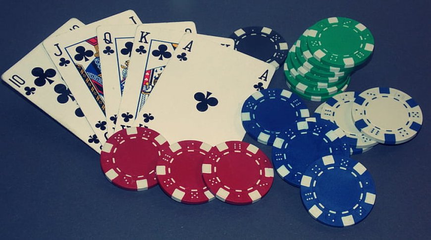 Lotus365 Review 2025: Is It the Best Online Betting Platform in India?