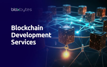 Blockchain Development Services by PrimaFelicitas: Powering the Next Digital Revolution