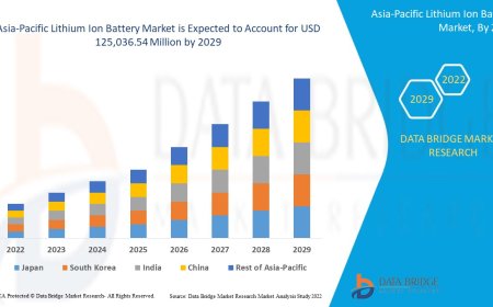 Asia-Pacific Lithium Ion Battery Sector: Forecast and Outlook 2025 - 2032