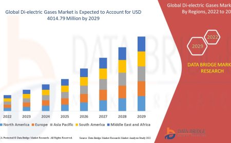Di-electric Gases Market Production, Demand and Business Outlook 2029
