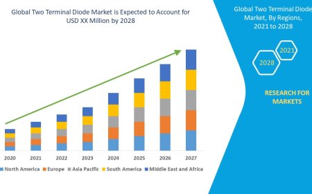 Two Terminal Diode Market Production, Demand and Business Outlook 2028