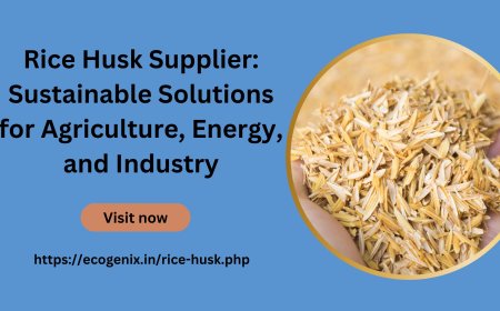 Rice Husk Supplier: Sustainable Solutions for Agriculture, Energy, and Industry