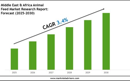 Middle East & Africa Animal Feed Market Overview 2025–2030: Demand & Future Trends