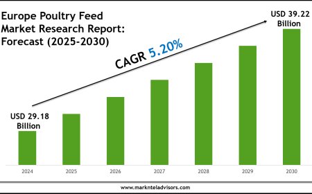 Europe Poultry Feed Market Growth Forecast to 2030: Size & Demand Outlook