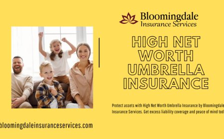 High Net Worth Umbrella Insurance by Bloomingdale Insurance Services