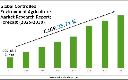 Controlled Environment Agriculture Market Insights 2025–2030: Value, Share & Analysis