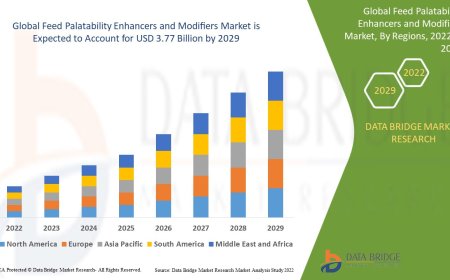 Feed Palatability Enhancers and Modifiers Market Size, Status and Industry Outlook During 2029