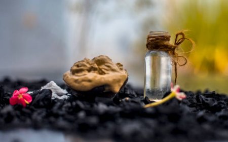 What Makes Purely Natural Shilajit a Superior Health Supplement?