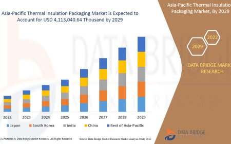 Asia-Pacific Thermal Insulation Packaging Market Size, Status and Industry Outlook During 2029