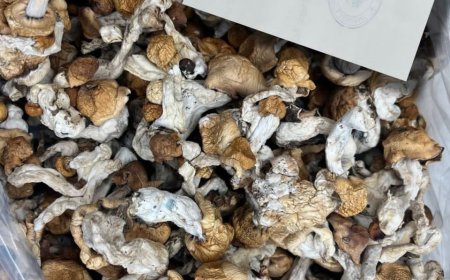 How detect magic mushrooms near me in London