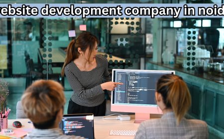 Website Development Company in Noida