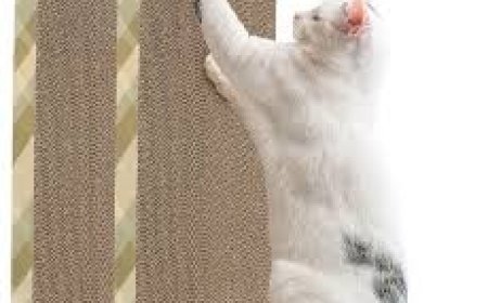 Why Every U.S. Cat Owner Needs a Quality Cat Scratching Mat