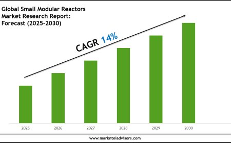2025–2030 Small Modular Reactors Market Snapshot: Growth, Value & Forecast