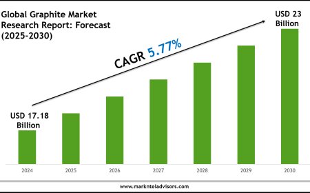 Graphite Industry Trends & Forecast: Market Outlook to 2030