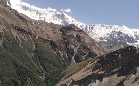 How to Spot Hidden Dangers on the Annapurna Base Camp Path