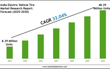 India Electric Vehicle Tire Market Report 2025–2030: Demand, Value & Share Outlook