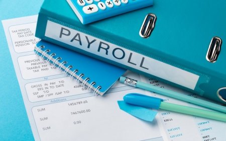 Expert Payroll Tax Consultant Services for Hassle-Free Compliance