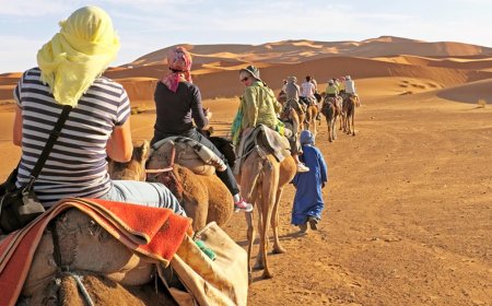 Affordable Desert Safari Packages in Dubai and Sharjah for 2025